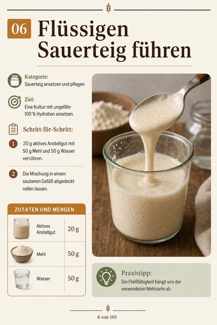 Seite aus dem Ratgeber 100 illustrierte Sauerteig-Backtechniken 6