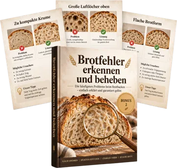 100 illustrierte Sauerteig-Backtechniken