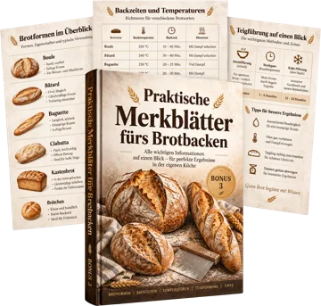 100 illustrierte Sauerteig-Backtechniken