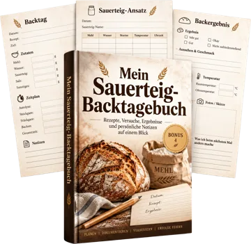 100 illustrierte Sauerteig-Backtechniken